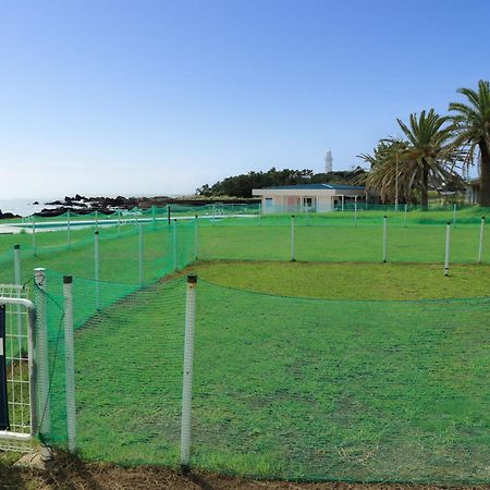 Shirahama Ocean Resort Chiba Exterior foto